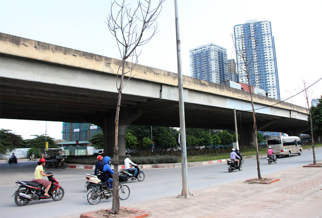 [-]Hà[-]Nội:[-]Hàng[-]cây[-]xanh[-]mới[-]trồng[-]đã[-]chết[-]khô